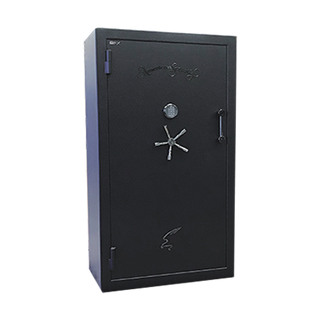 AMSEC BFX Series | 2