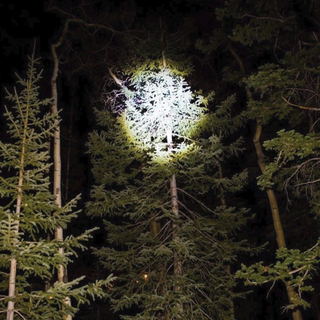 Accessory - Lights - Tactical Flashlight 500 Lumen