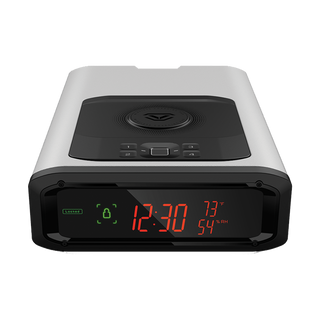 Vaultek DS2i Smart Station