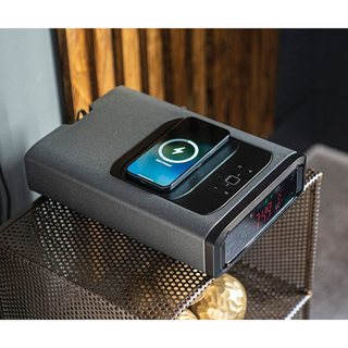 Vaultek DS2i Smart Station