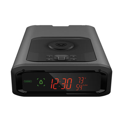Vaultek DS2i Smart Station